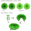 Birthday Party Decorations, Party Decorations for Men Women, Happy Birthday Banner, Curtains, Paper Honeycomb, Garland, Balloons for Birthday Party Decorations (Green)