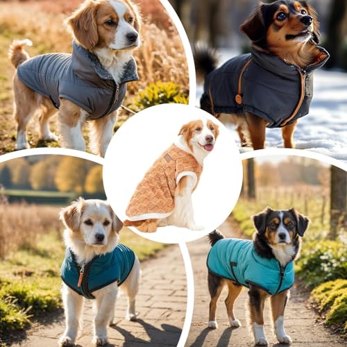 Pull pour chien d'intérieur pour journées d'hiver cocooning - 5