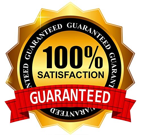 David Benavidez Autographed Everlast Boxing Glove Beckett Authenticated Autograph Boxer Gloves Signed Collectibles Auto #TOP6