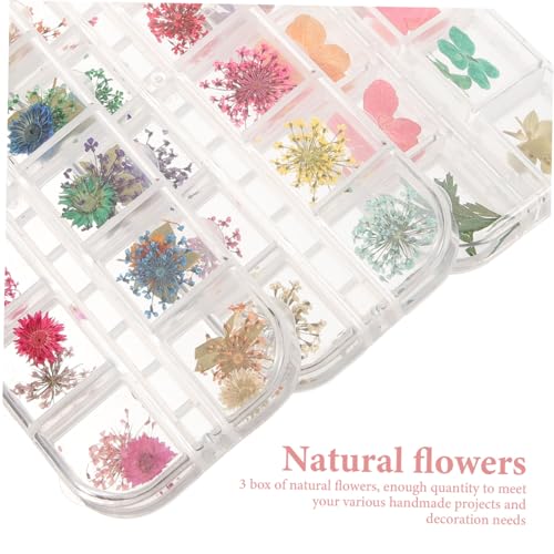 Flores secas para manualidades en resina, pack de 3 miniatura 3