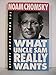What Uncle Sam Really Wants (The Real Story Series)