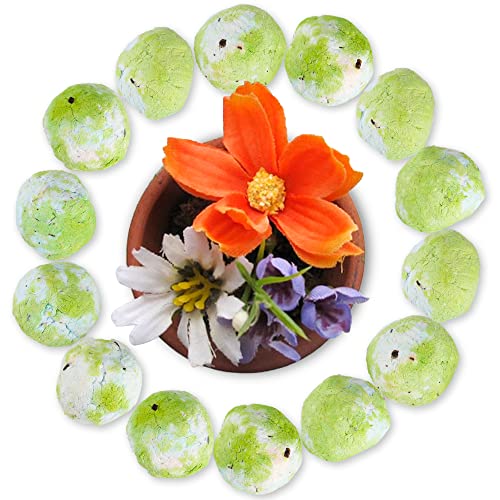Wildflower Seed Bombs For Planting - Embed With Zinnia, Poppy And Shata Daisy Seeds - Flower Gardening Green Seeds Balls Gift Easy To Do And Fun To Grow, Novelty Gift, Perfect For Any Occasion #TOP1