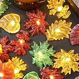 HXT BARTLETT Fall Decor Fairy Lights - Battery Operated Autumn String Lights, 10ft,...