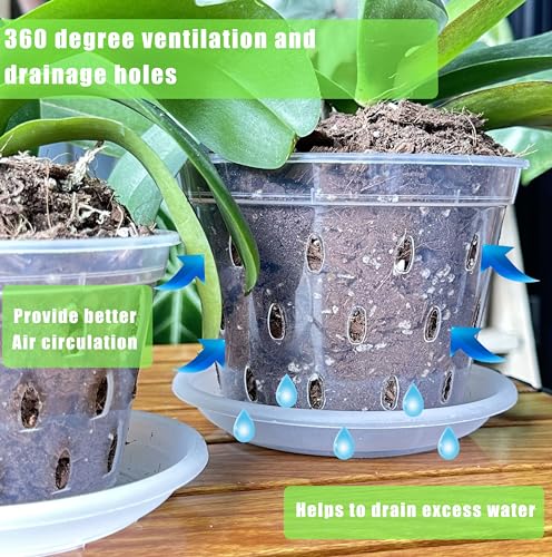 Mesoar 17cm Orchid Pots,Clear Plastic Orchid Pots with Holes and Saucers for Plants Flower Nursery Pots for Orchid Repotting Indoor and Outdoor Use (6 - Image 4