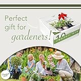 Garden Pack Herb Garden Kit – 10 Herb Varieties – Grow Your Own Herbs Indoors – Windowsill Garden Kit with Seeds for Planting UK - Image 5