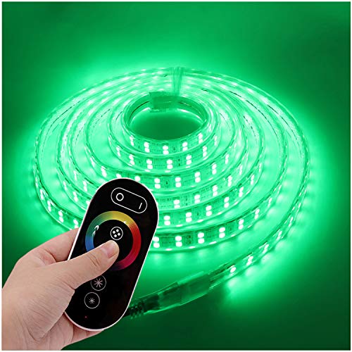 XUNATA - Strisce LED da 220 V RGB, con telecomando integrato, 5050 LEDs/m, dimmerabili, impermeabilità IP67, per interni ed esterni, decorazione, illuminazione, multicolore