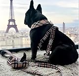 Bat Pig Society Classic Plaid Reversible Harness & Leash SetXL, Cream