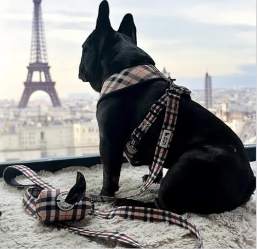 Bat Pig Society Classic Plaid Reversible Harness & Leash SetXL, Cream