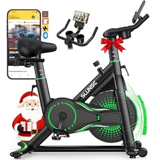 SLUNSE Exercise Bike for Home Use, Adjustable Magnetic Resistance Spin bike with Smart APP, Home Gym Equipment Stationary Bike with Dumbbell Rack, LCD Display, Tablet Holder, 180KG Weight Capacity