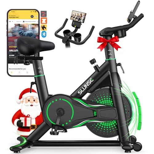 2025 Neu SLUNSE Heimtrainer Fahrrad mit App, Einstellbarer Magnetischer Widerstand...