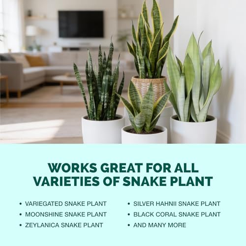 Fertilizante líquido para planta serpiente 8 oz miniatura 6