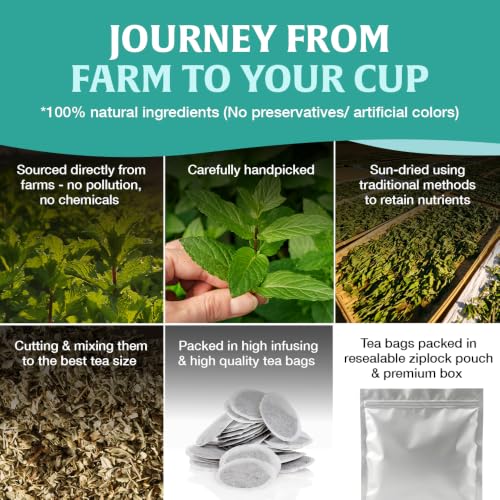 Image of HANDPICK, Spearmint Tea Bags (40 Herbal Tea Bags) |Refreshing Mint Tea | Non-GMO | Round Eco-Conscious Teabags