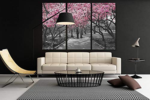 Black & White Wall Art Pink Blossoms Canvas Wall Art (3 Piece Large)
