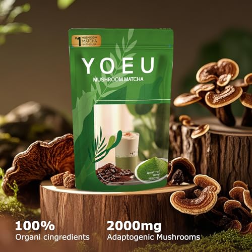 Polvo instantáneo de matcha y setas orgánico 180g miniatura 5
