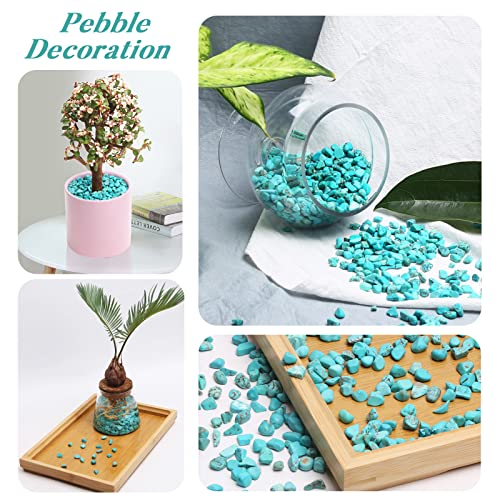 Image of QICQDRAM Howlite Turquoise Small Tumbled Chips 0.9 Lb /405g Crystal Stone Decorative Pebbles for Home Decoration & Fish Turtle Tank, Vase Filler, Plants Decor