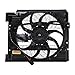 TYC 611240 Cooling Fan Assembly Compatible with 1999-2003 BMW 5 Series
