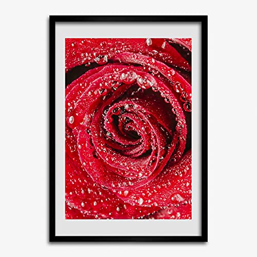 Cadre affiche 50x70 rose rouge Tulup pour tableau de peinture moderne