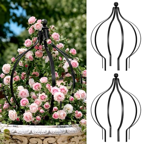 2 Set Metal Garden Obelisk Trellis for Climbing Plants with