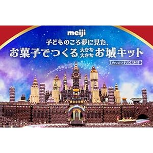 子どものころ夢に見た、お菓子でつくる大きな大きなお城キット