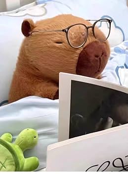 カピ バラ様ꕤ*.゜ カピバラさん【公式】 (@FROM_TRYWORKS) / X