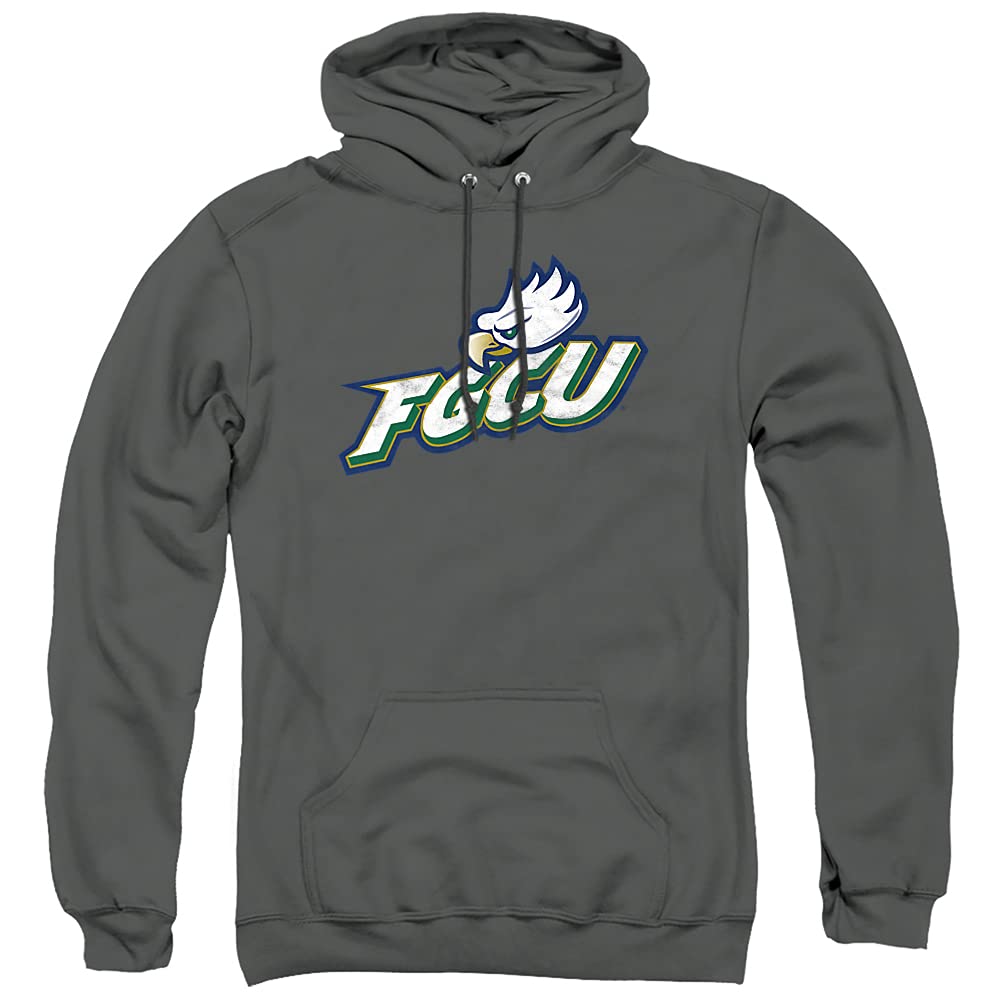 LOGOVISION Official Collegiate Distressed Primary Logo Adult Pullover Hoodie Collection — view 54