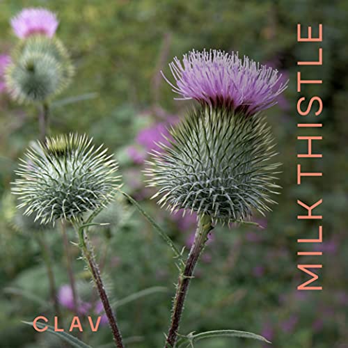 CLAV Organic Milk Thistle & Artichoke Extract Complex -Rich in Silymarin & Bitters - Liver Support + Detox Supplement - 120 Capsules (60 Days Supply) - Vegan - Made in Germany - Image 3