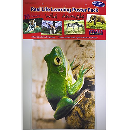 Stages Learning Materials Zoo Animal Posters for Classroom Decor, Bulletin Boards, 9 Large Picture Cards - Image 2