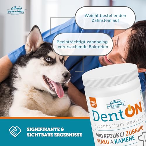 VITAR Veterinae Zahnpflege Hund - Zahnsteinentferner Hund, DentON Dental Pulver für Hunde 50g, Entfernt Plaque, Auch für Katzen geeignet, Mundpflege gegen Mundgeruch, mit der Alge Ascophyllum Nodosum