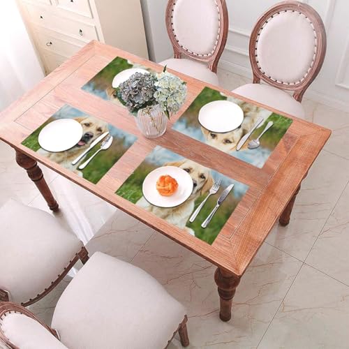 Set de table PVC labrador pour des repas en famille joyeux et des tables d'enfants bien protégées