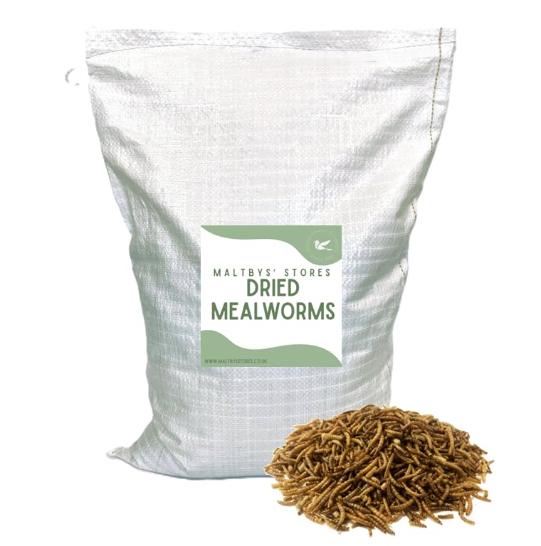 Maltbys' Stores 1.6kg Dried Mealworms Premium Wild Bird Food