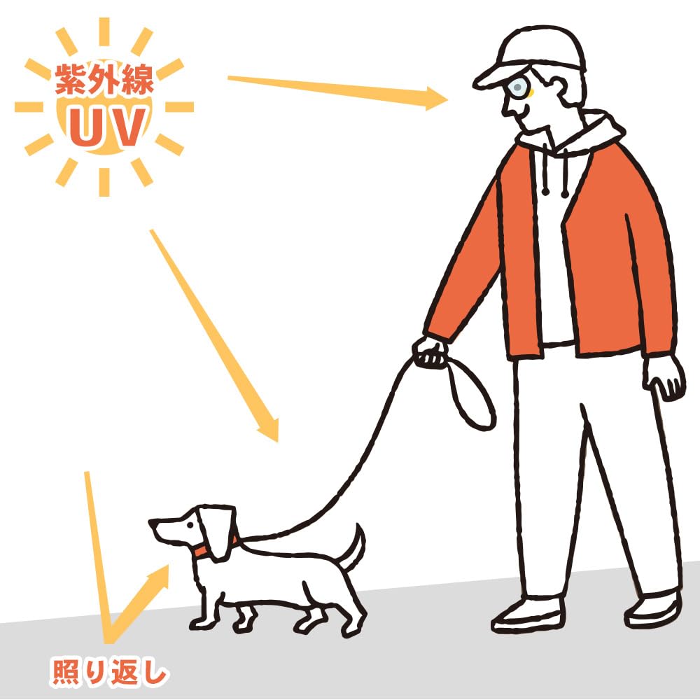 Amazon | FlukeForest(フルークフォレスト) 犬用 サングラス UVカット