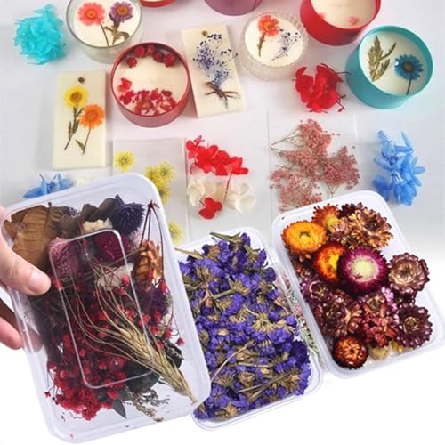1 caja de flores secas para decoración y manualidades miniatura 3