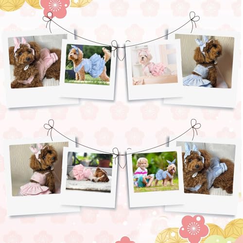 Ropa Jacquard Floral para Perros Pequeños con Sombrero miniatura 6