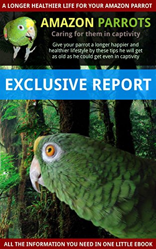 Amazon parrots best care taking in captivity: Learn how to extend the life of your Amazon parrot