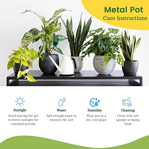 ecofynd 2 Pack Eva Metal Plant Pots (8 inch, 9 inch) | Indoor Planter Flower Pots with Drainage Hole | Home Garden Decor Planter for Living Room Bedroom Interior (Gold Finish)