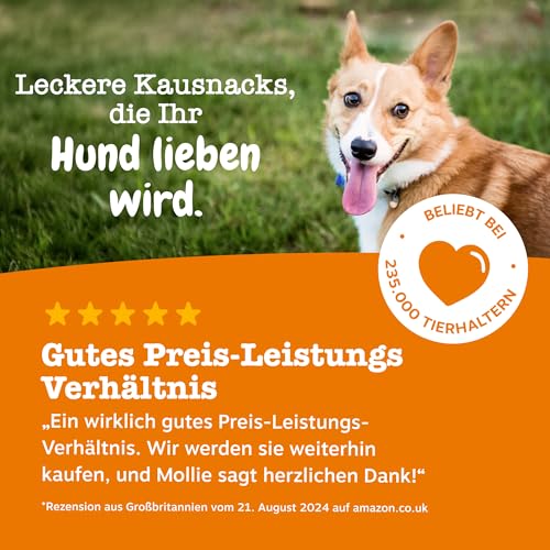 Zesty Paws Allergie & Immunität Chews | Nahrungsergänzungsmittel für Hunde | Für eine Gesunde Körperfunktion | Reich an Lachsöl Hunde & Omega 3 Öl | 90 STK