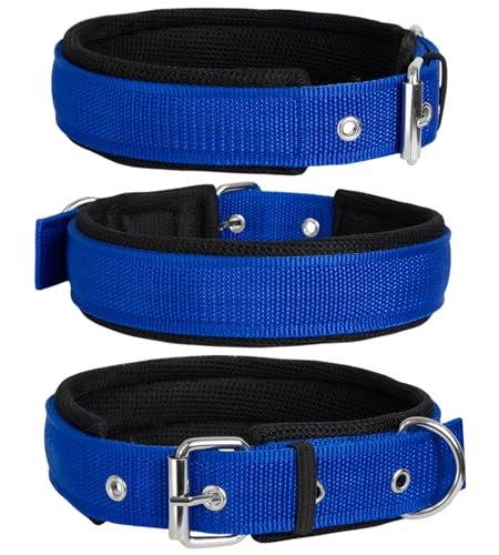 Image of Dog Collar for Small Dogs, Soft Padded Dog Belt Neck Collar, Dog Belt for Puppy Pug, Shih tzu, French Bulldog, Pomeranian, Dachshund, Maltese (Blue, S), 42 x 1.9 cm