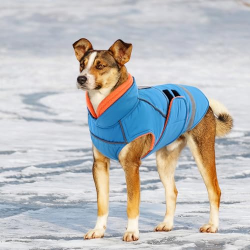CITÉTOILE Hundejacke mit Klettverschluss – Reflektierend, Führungsöse & wärmender Kragen – Leichtes Wintercoat mit weicher Füllung, Blau, XL