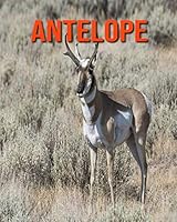 Antelope: Super Fun Facts And Amazing Pictures B08KH3RHVC Book Cover