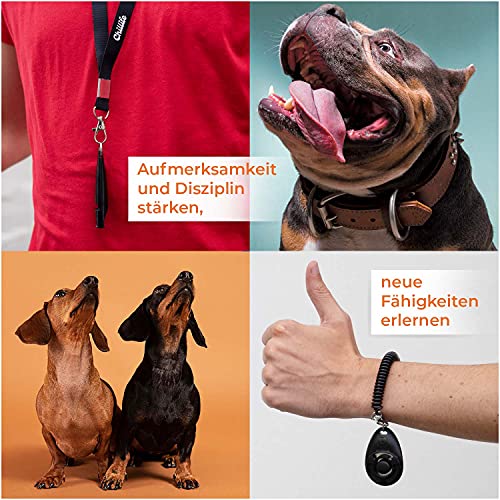 Chillife Premium Hundetraining Zubehör Set, bestehend aus Hundepfeife und Hunde Clicker, perfekt für Welpen und Dog Training und Erziehung, Trillerpfeife für Hunde und Hundeclicker