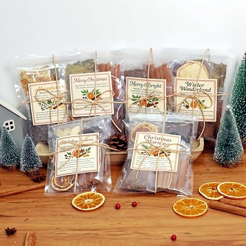 6 Packs Simmer Pot Mix,Holiday Potpourri Simmer Pot with Christmas Morning,Winter Wonderland, Merry & Bright, Merry Christmas,Holiday Spices,Abundance Potpourri for Xmas Fall Winter House Warming Gift