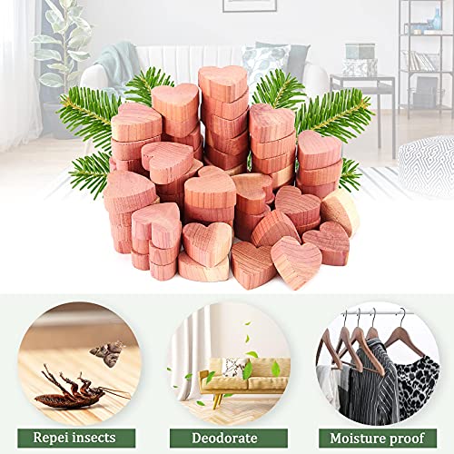Yizhet drewna cedrowego Ochrona przed molami, 50 sztuk