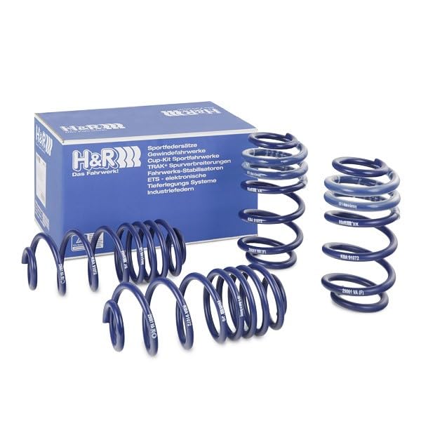 Amazon.com: H&R 29061-2 Lowering Springs : Automotive