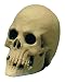 Rubie's Costume Rubbr Skull-Foam Filled Costume