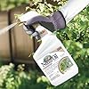 Bonide Captain Jack's Neem Oil, 32 oz Ready-to-Use Spray, Multi-Purpose Fungicide, Insecticide and Miticide for Organic Gardening #1
