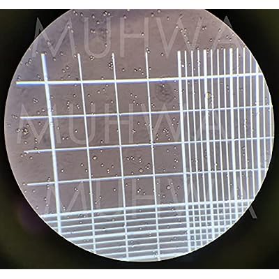 MUHWA Hemocytometer Neubauer Improved Blood Counting UK | Ubuy