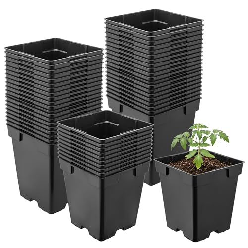 Garronda Maceta de plástico 11 x 11 x 12 cm (1L) Set de 50 Cuadrada con Orificios de Drenaje Resistente para Plantas para jardín Invernadero balcón semillero Interior Exterior Negro GD-0199