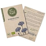 kornblumen samen einpflanzen 🌱𝐁𝐈𝐎 𝐙𝐄𝐑𝐓𝐈𝐅𝐈𝐙𝐈𝐄𝐑𝐓 & 𝐇𝐎𝐇𝐄 𝐊𝐄𝐈𝐌𝐑𝐀𝐓𝐄 - BIO zertifizierte Kornblumen Samen, 100 % Natürlich, ohne Gentechnik, ohne Pestizide, beste Qualität. Kornblume Saatgut abgepackt in speziellen Keimschutzbeuteln für extra lange Haltbarkeit. Besonders frische Kornblume samen und damit sehr hohe Keimrate!
