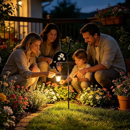 Lanterna chat solaire pour illuminer vos soirées sur la terrasse