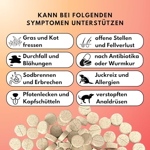 People who Kaer Probiotika Hund – 4-Stämme Komplex zum Darmflora Aufbau & Darmsanierung – Synbiotikum Drops bei Verdauungsstörungen & Allergien – Unterstützt Immunsystem & Verdauung (60 Stück)